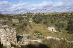 Wide shot of landscape with trulli