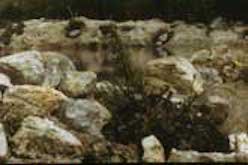 Rocks lining edge of Fano Lake