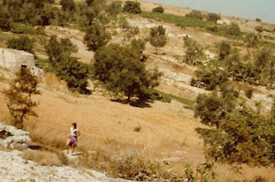 Participant walking in the landscape