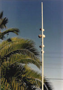 Vertical sculpture with palmtree in background