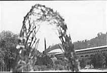 Black and white photos of twig model with physical site in the background