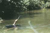 Person swimming in finished lake