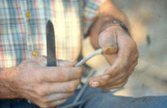 Closeup of splitting cane for baskets