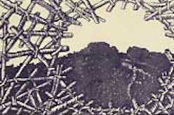 Drawing of circular opening of twigs