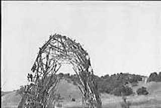 Black and white photos of twig model with physical site in the background