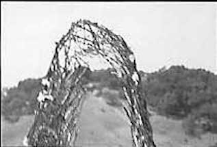 Black and white photos of twig model with physical site in the background