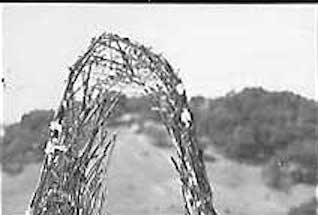 Black and white photos of twig model with physical site in the background