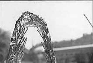 Black and white photos of twig model with physical site in the background