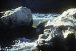 Water flowing over rocks at Fano lake