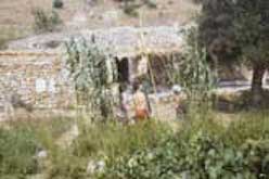 Several people building hut