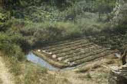 Irrigation channels