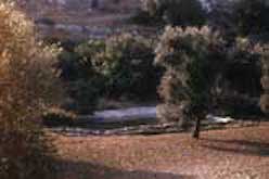 Fano landscape with lake