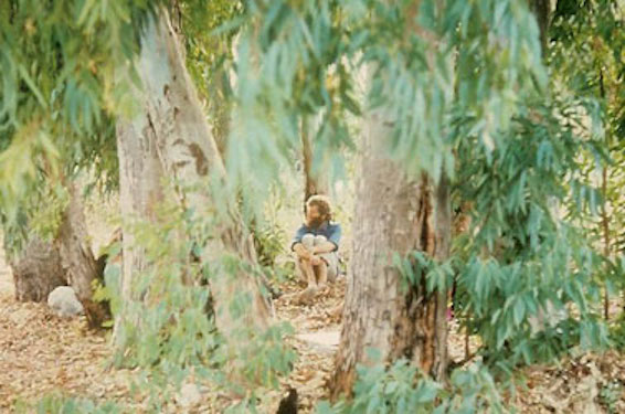 Slobodan in a grove